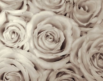 Flower Wall Art, Rose Photography, Black and White Fine Art Photography, Gift for Her, Bedroom Wall Art, Still Life Print