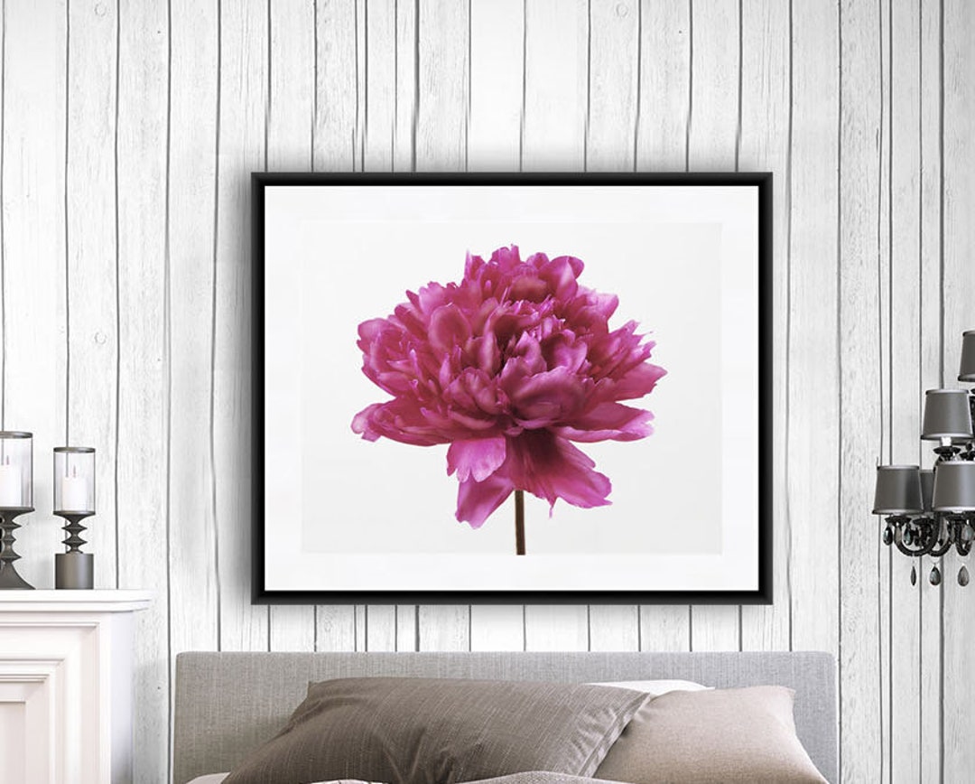 Flower Wall Art, Pink Peony Print, Cottage Chic Wall Art, Gift for Her ...