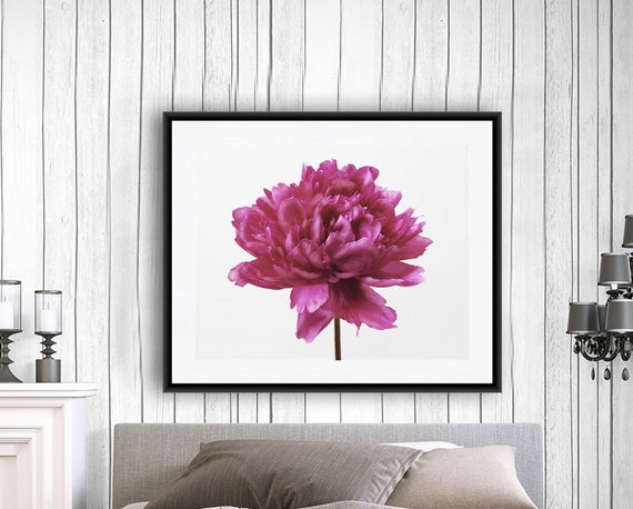 Arte de la pared de la flor impresión de la peonía rosa arte - Etsy España
