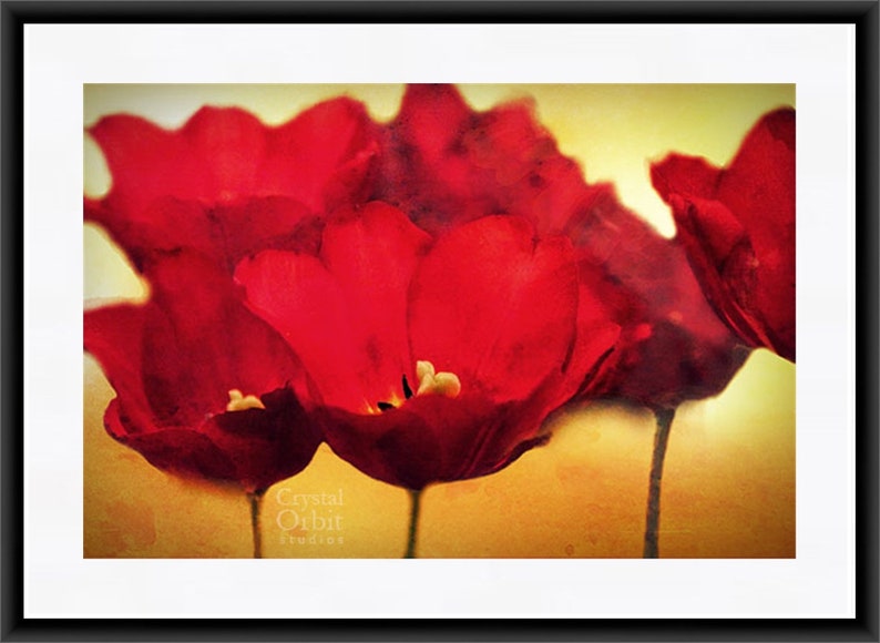Flower Wall Art, Red Flower Photography, Botanical Print, Flower Art ...