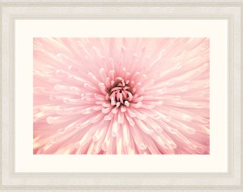 Flower Photography, Cottage Chic Wall Art, Nature Print, Gift for Her, Pink, White, Bathroom Wall Art, Nursery Decor