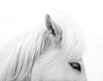 Fotografía de caballo blanco, impresión de invierno de caballo blanco, arte minimalista, arte de pared de caballo, fotografía de bellas artes en blanco y negro