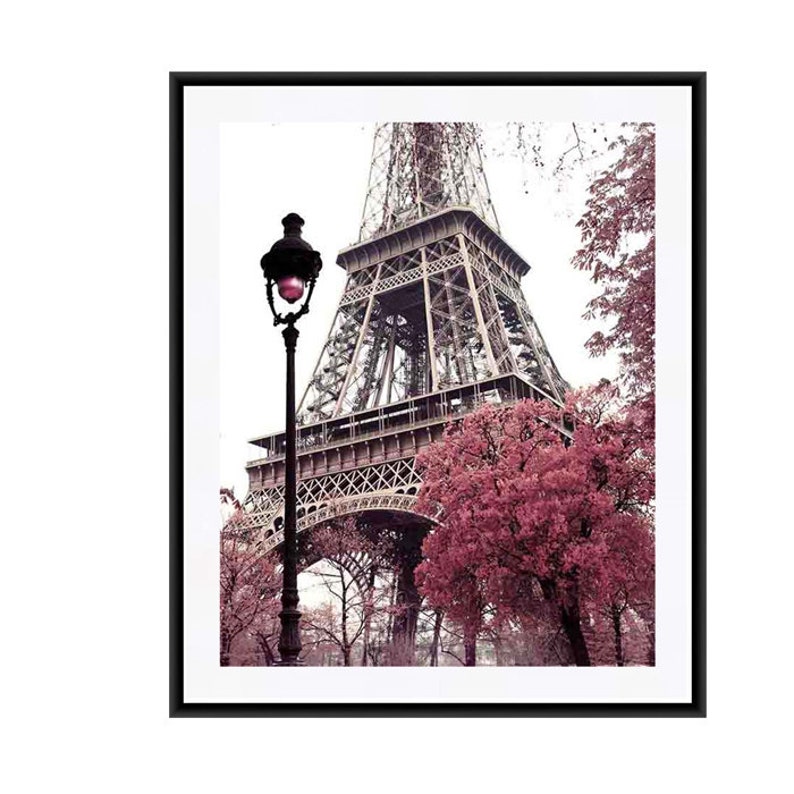 May include: A black and white photograph of the Eiffel Tower in Paris, France. The tower is surrounded by trees with pink blossoms. A street lamp with a red light is in the foreground.