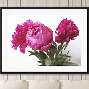 Peony Print, Flower Photography, Gift for Her, Floral Wall Art, Cottage Chic Wall Art, Pink Bedroom Wall Art