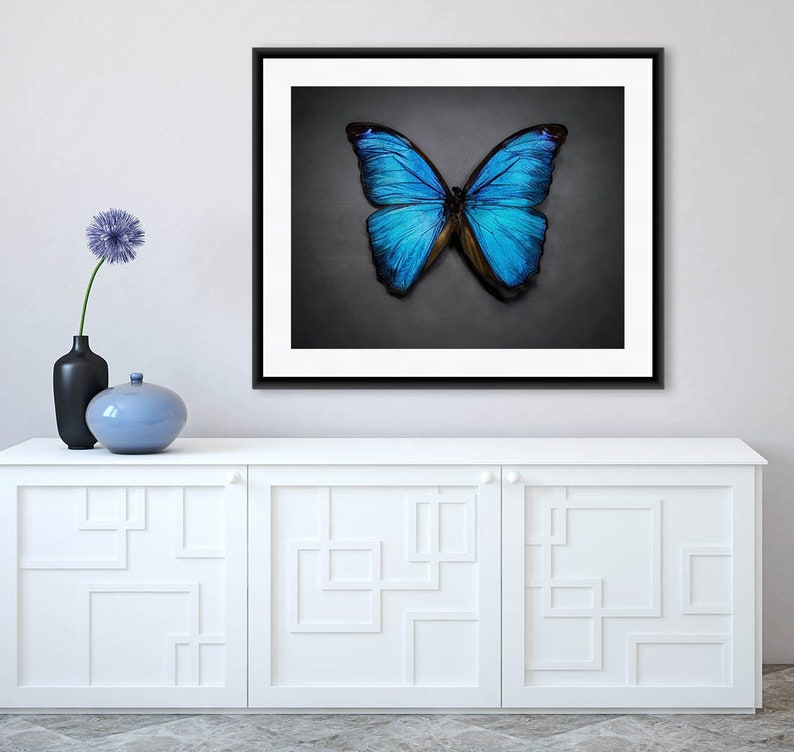 Butterfly Print, Butterfly Art, Blue Butterfly Wall Art, Azure, Sapphire, Gray, Home Decor image 1
