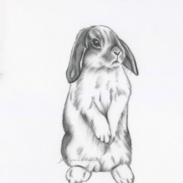 Rabbit Art, ORIGINAL 11"x14" Charcoal Lop Eared Bunny Drawing, Bunny Art,  Nursery Art -  Rabbit Drawing, Rabbit Sketch, Bunny Sketch