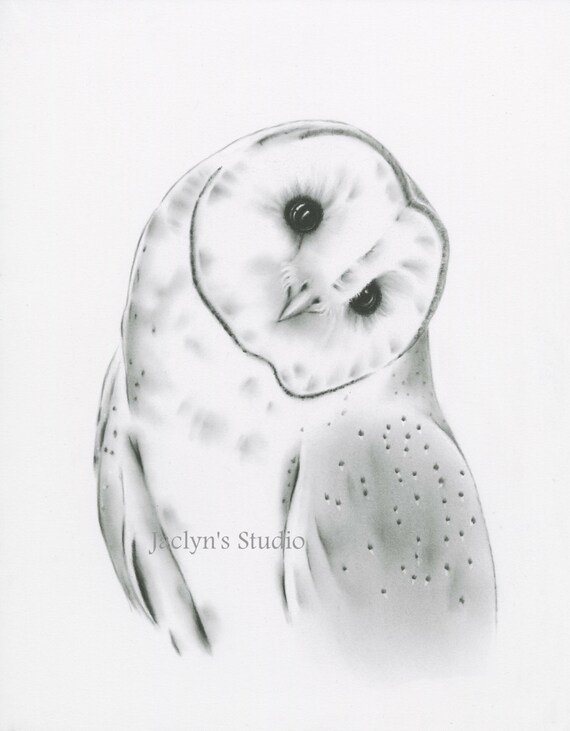 Barn Owl Print Owl Drawing Print Owl Sketch Owl Art Owl Etsy
