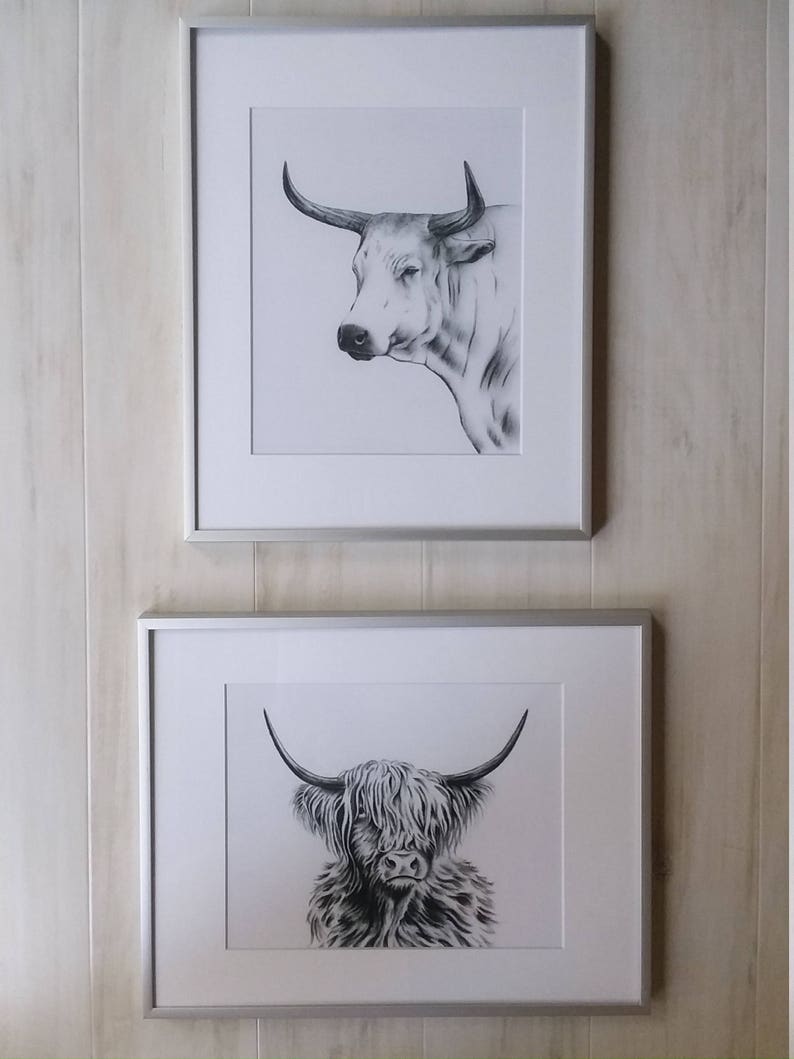 Nguni Cow Art Charcoal Drawing Print 810 Cow Etsy