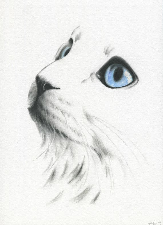 Chat Blanc Aux Yeux Bleus Chat Croquis Dessin De Chat De Etsy