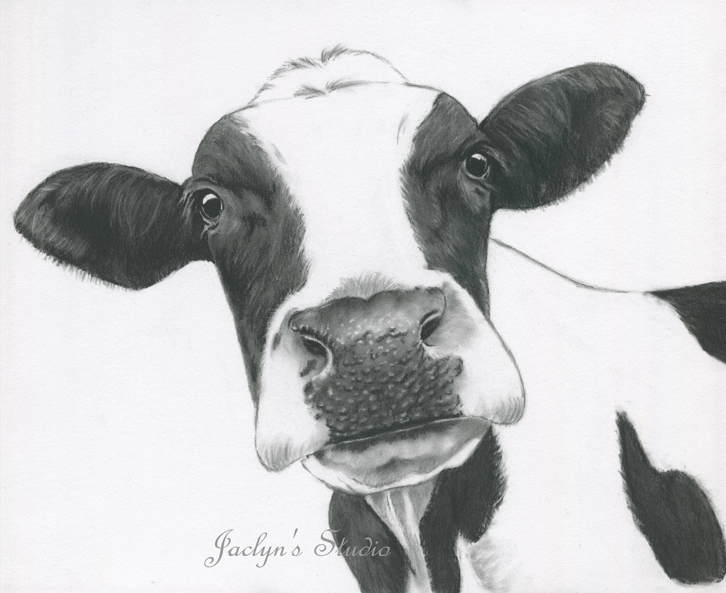 10 x 8 Kuh drucken Kohle Zeichnung Holstein | Etsy