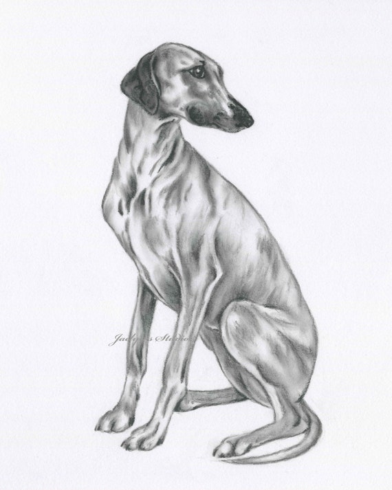 greyhound art