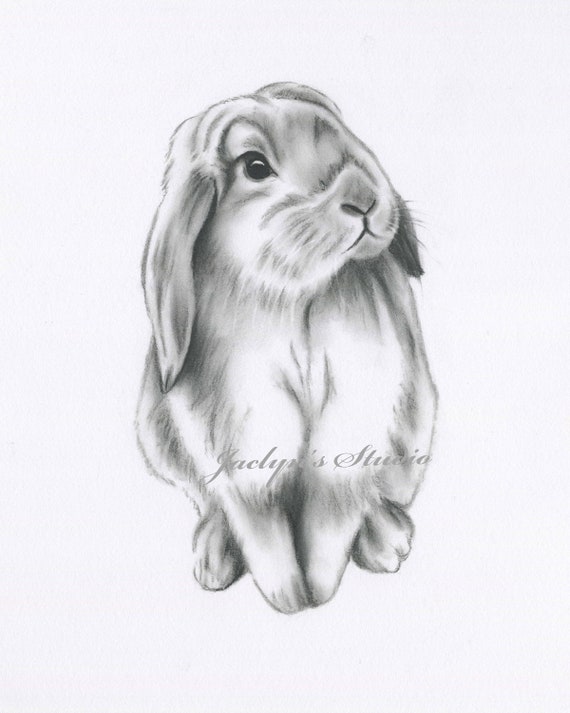 Dibujo de conejo dibujo de conejo estampado de conejo - Etsy México