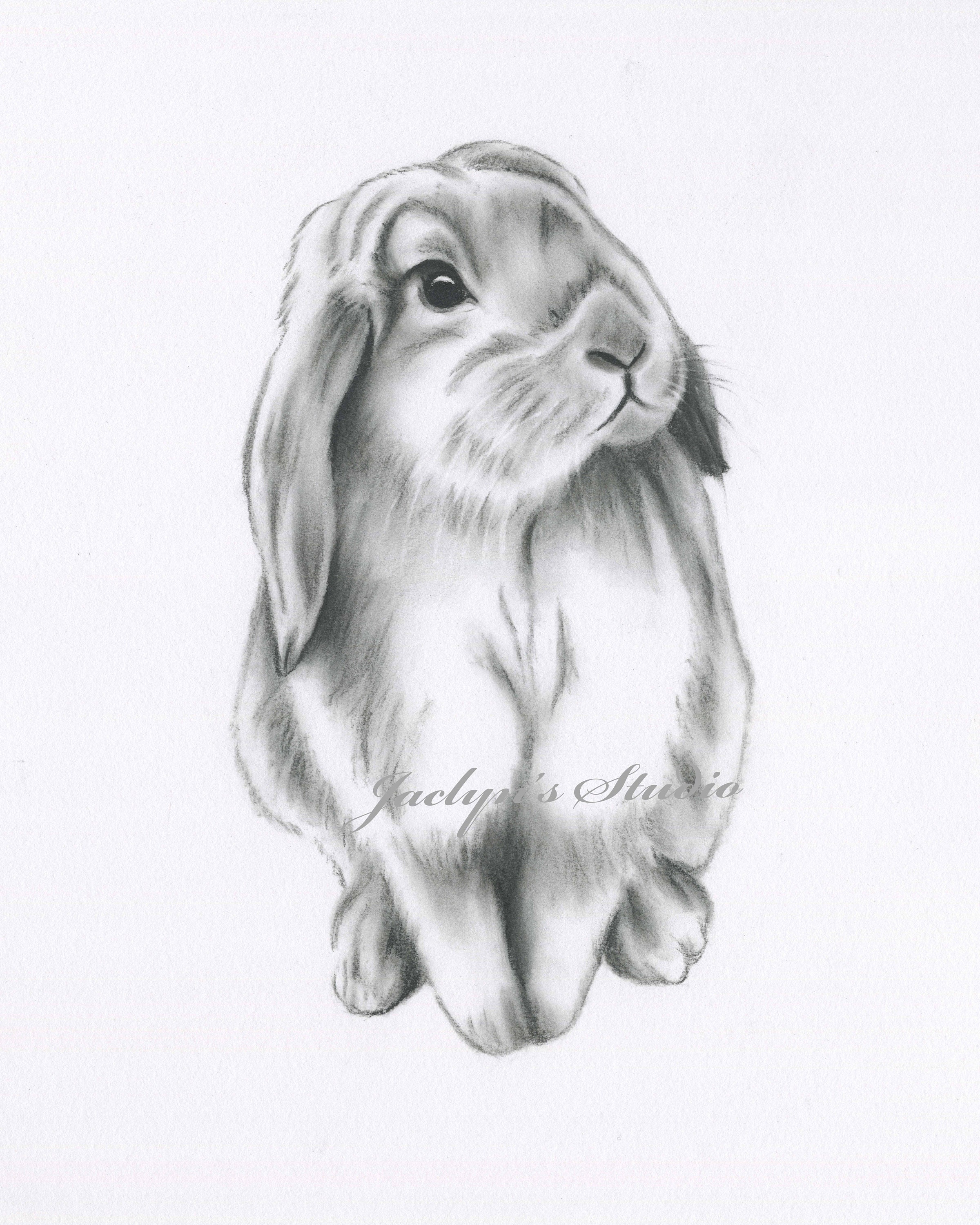 Cute fluffy grey rabbit. Easter bunny.... - Stock Illustration [103424772]  - PIXTA