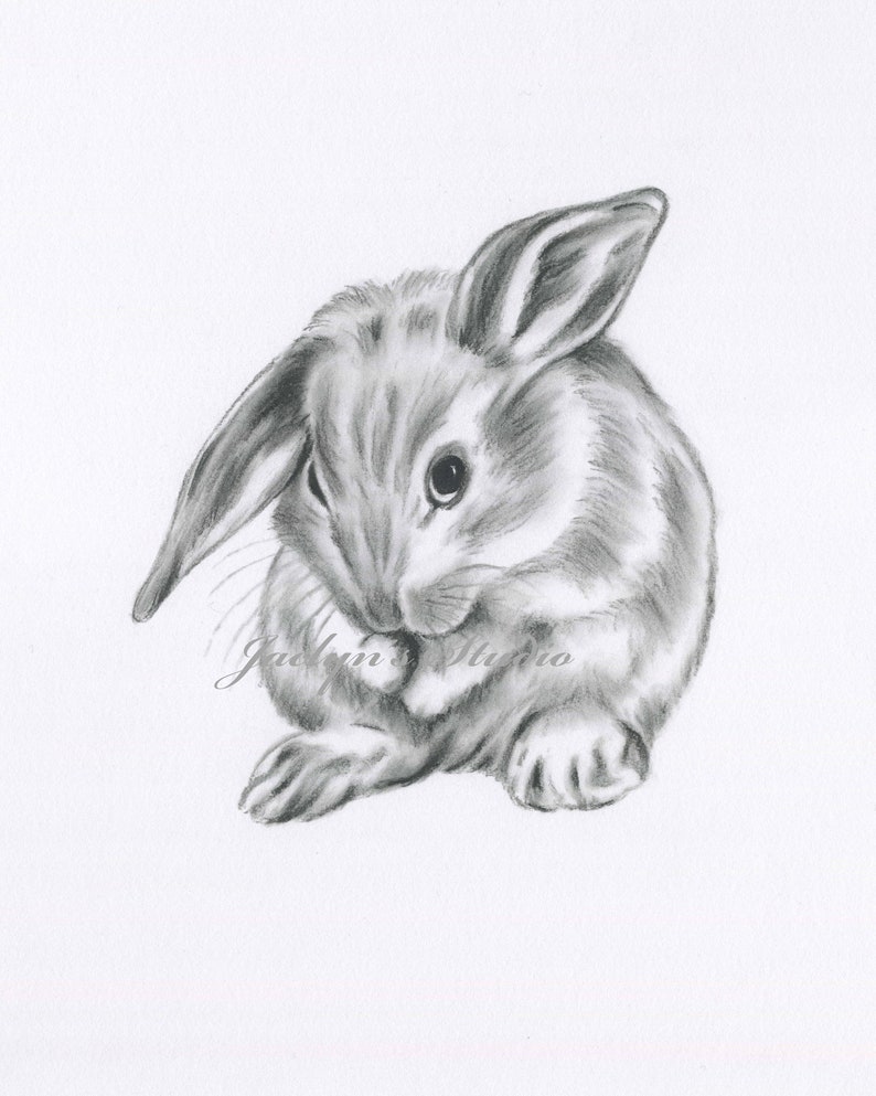 Rabbit Drawing Bunny Drawing Bunny Print Rabbit Print Etsy - Rabbit Drawing Bunny Drawing Bunny Print Rabbit Print Etsy