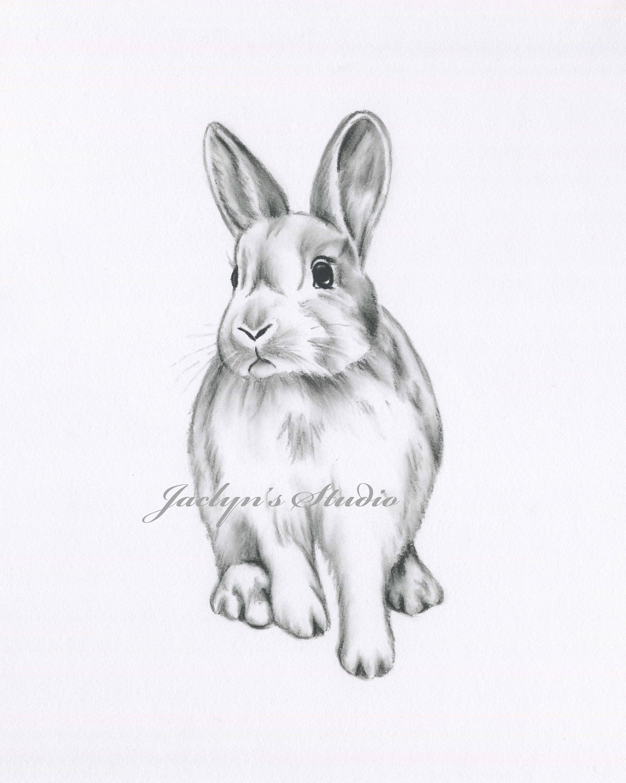 Lapin De Dessin Lapin Dessin Impression Lapin Imprime Etsy France Lapin De Dessin Lapin Dessin Impression Lapin Imprime Etsy France