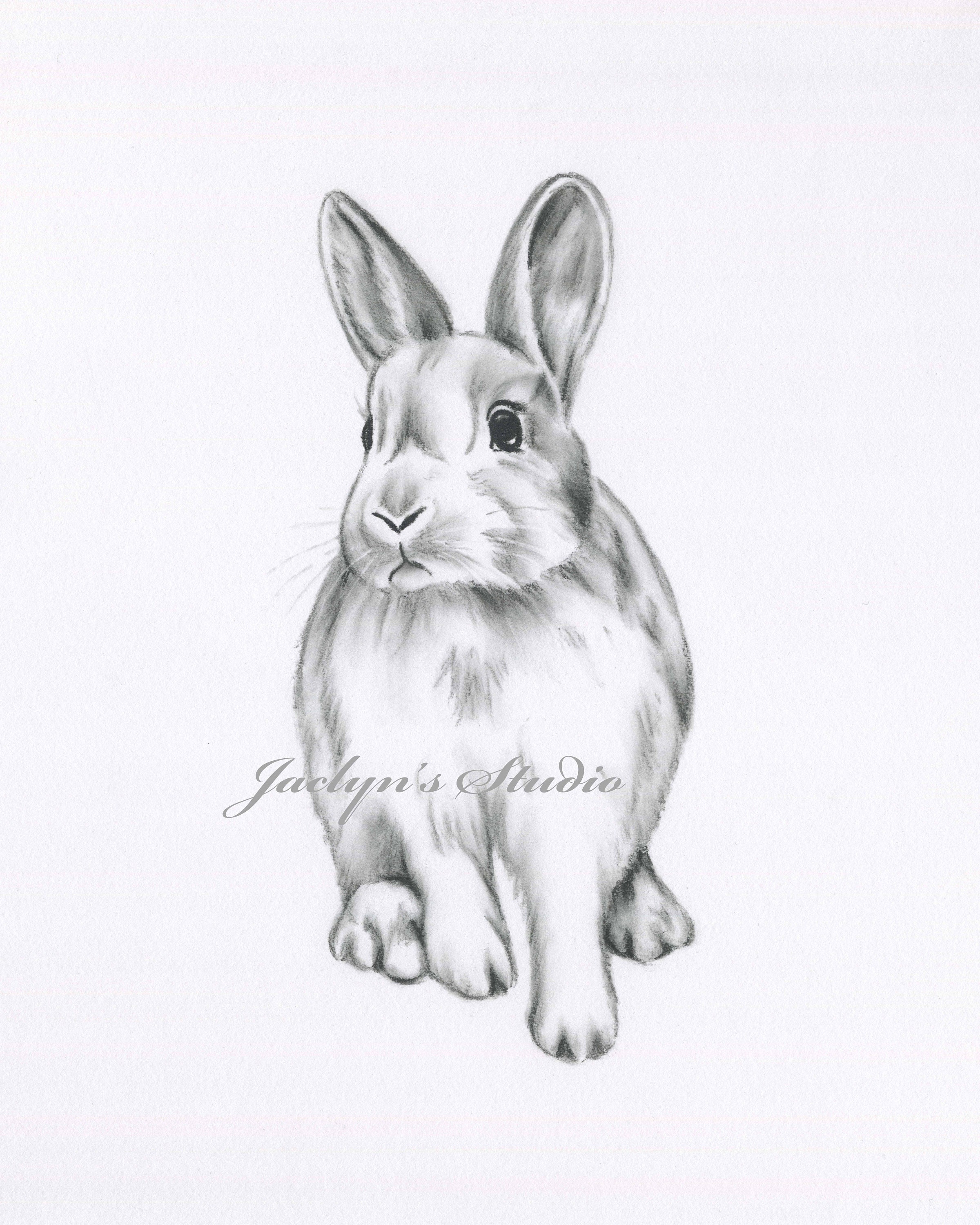 Lapin De Dessin Lapin Dessin Impression Lapin Imprime Etsy