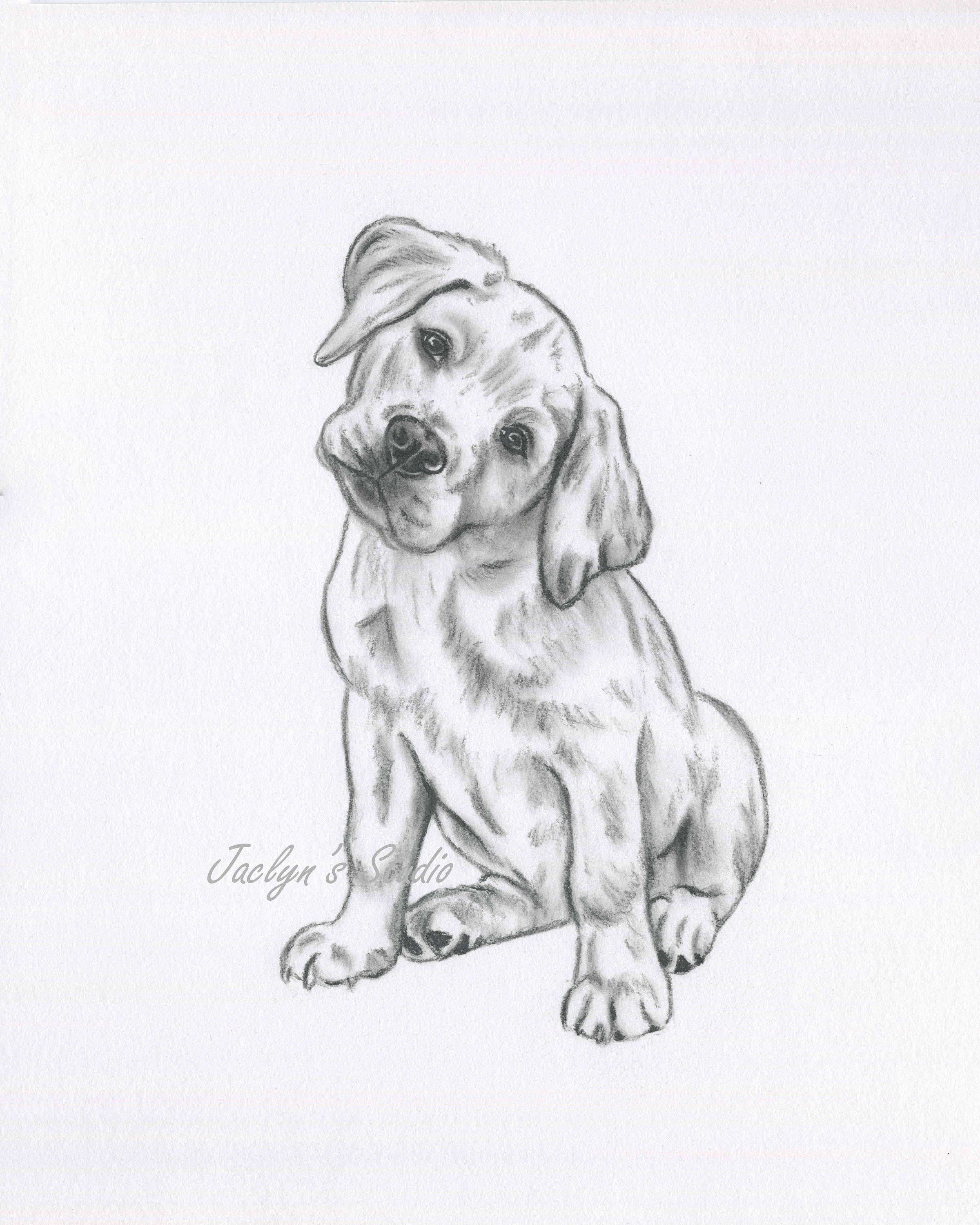 Charcoal Sketch of your Dog - The Art Den