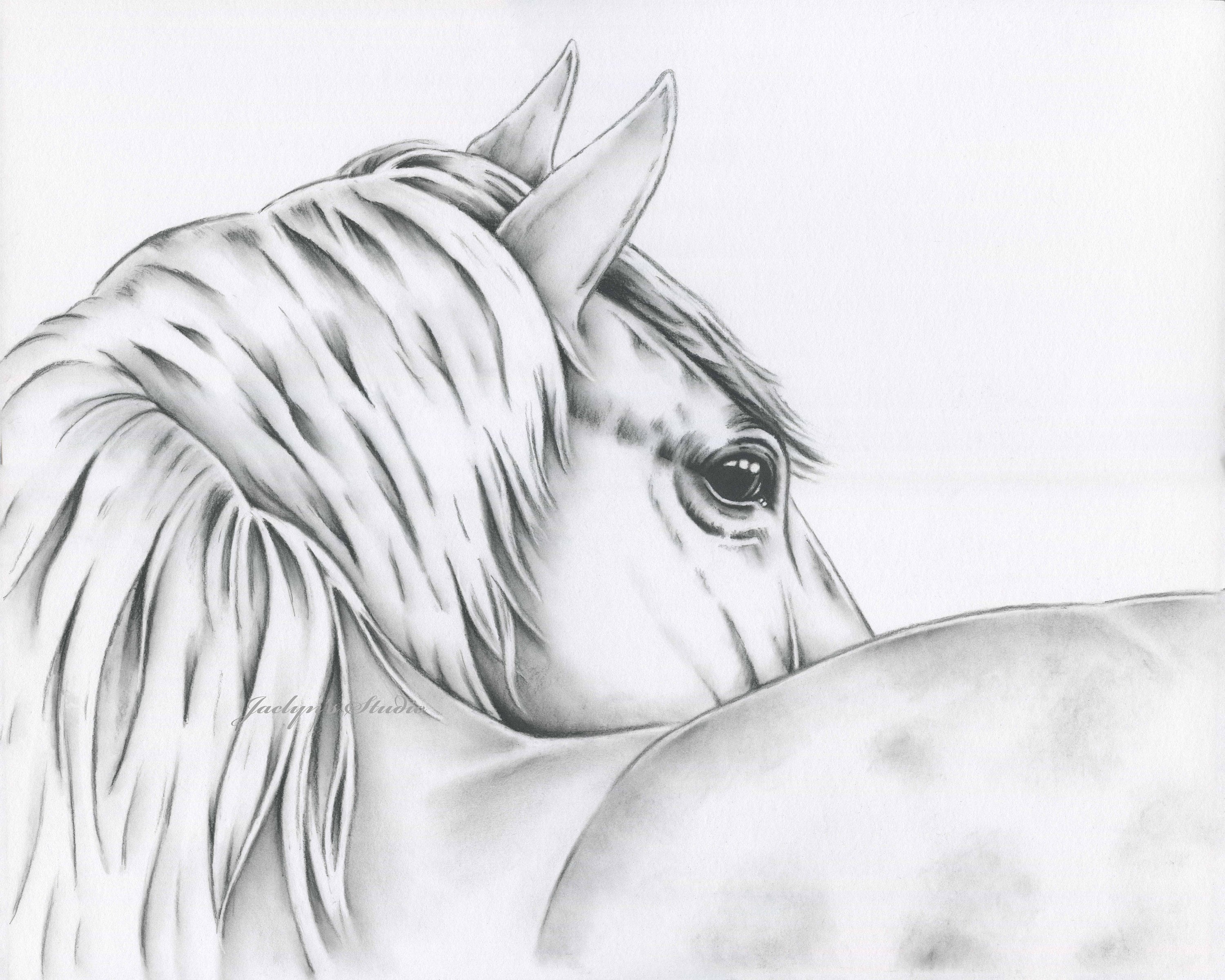 Charcoal drawing Dark beauty  My first realistic horse po  Flickr