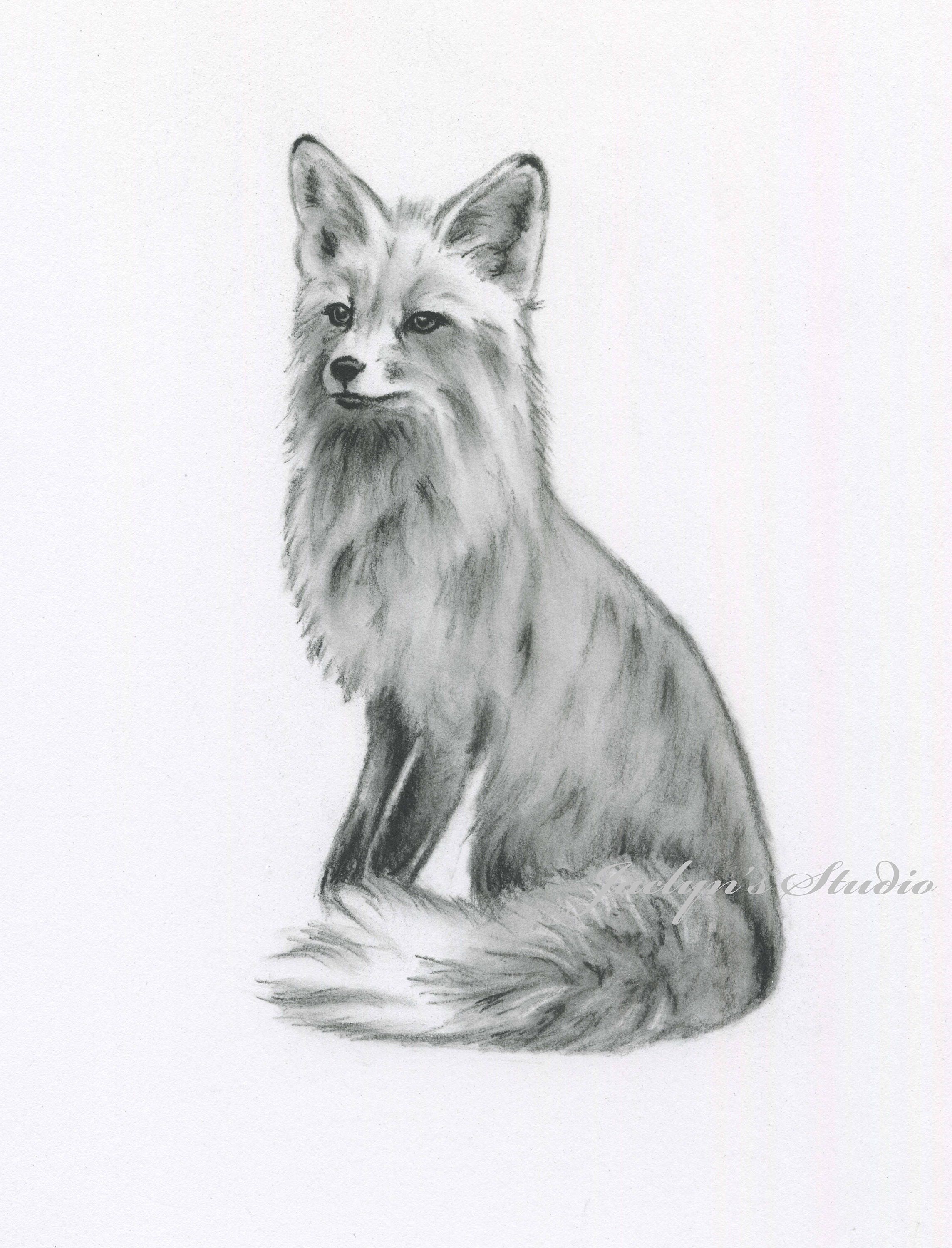 Animal sketches and studies 2019–2020 | Nela Dunato Art & Design