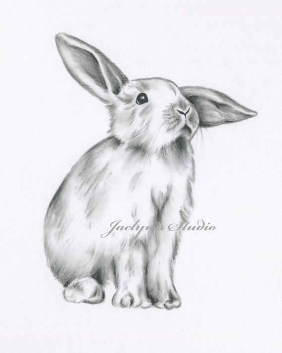 Dibujo de conejo dibujo de conejo impresión de conejito - Etsy España Dibujo de conejo dibujo de conejo impresión de conejito - Etsy España