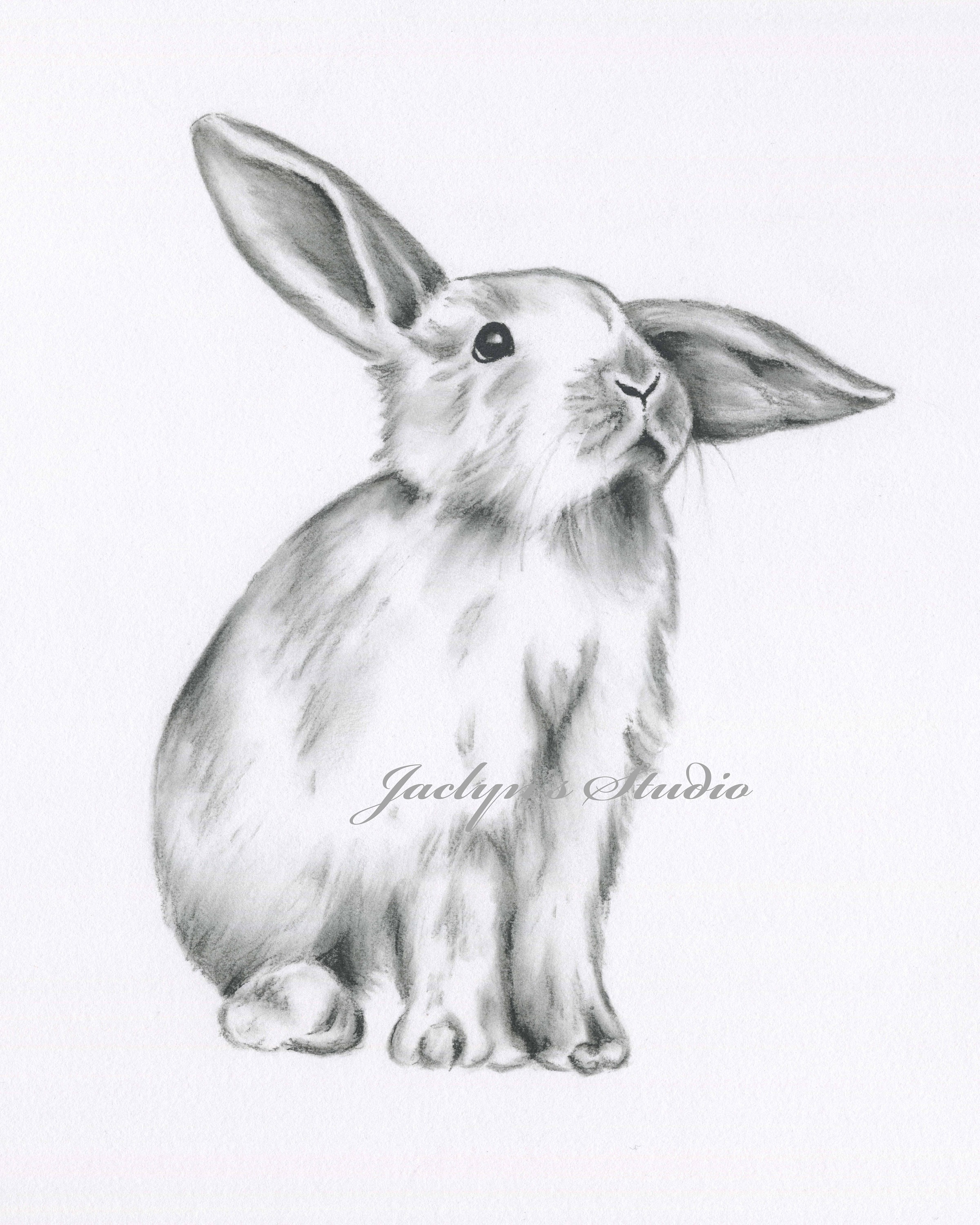 Dibujo de conejo dibujo de conejo impresión de conejito - Etsy España