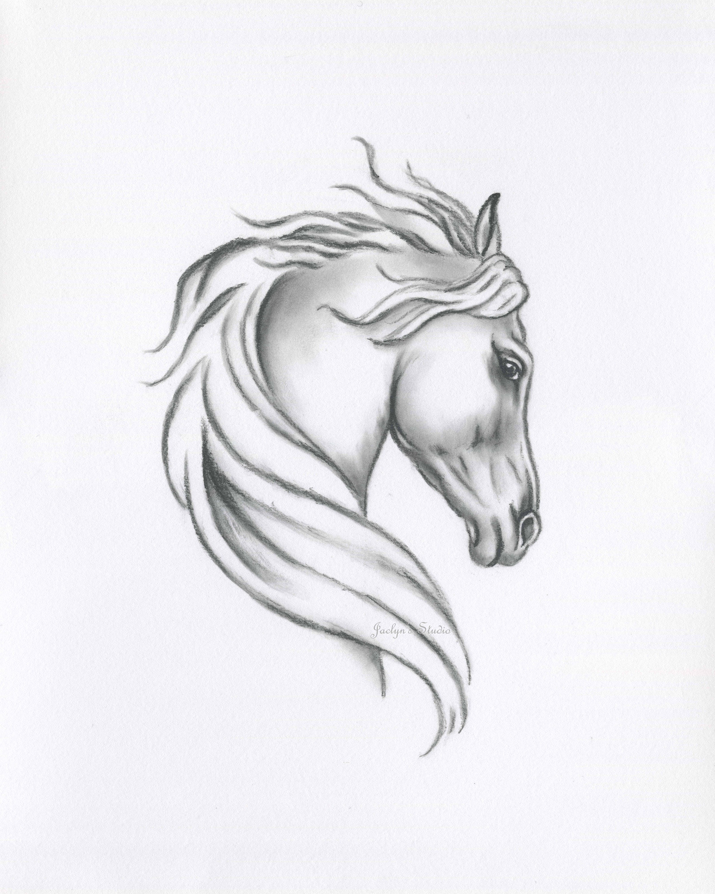 Black Horse Black amp White Animal Original Charcoal Drawing 14 x 17in   eBay