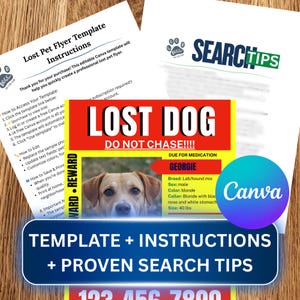 May include: A flyer template for a lost dog, featuring a photo of a blonde dog named Georgie. The flyer includes the text "LOST DOG" and "DO NOT CHASE!!!", along with instructions and search tips. The dog is 40 lbs.