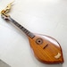 Phin Acustico Thailandese 3 Corde – Strumento Tradizionale Isarn Laos Rakthai'59 #2 - Foto 6