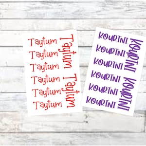 School Set of 8 Name Decals/school personalization/ school decal/ college organization/ Name set