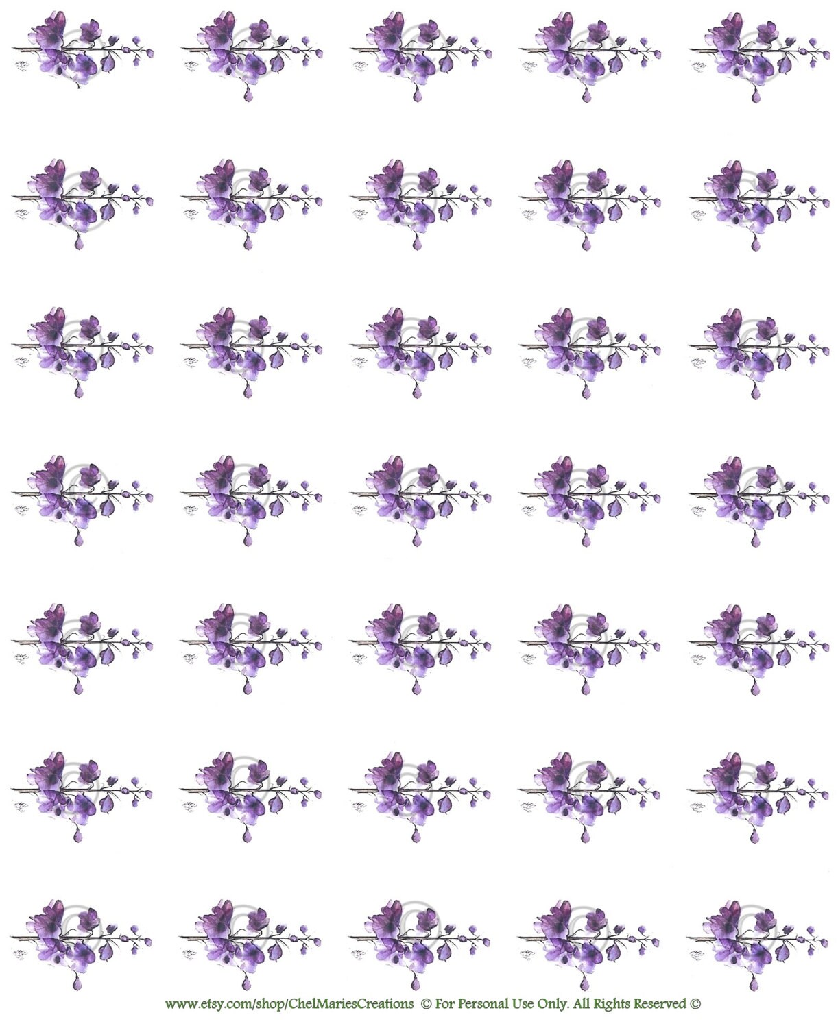 DIGITAL PURPLE LAWN main image 1