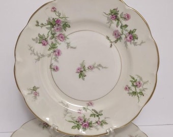 Un plato llano antiguo THEODORE HAVILAND Limoges Francia Sylvia con diseño de rosas y vides de 9,75 pulgadas.