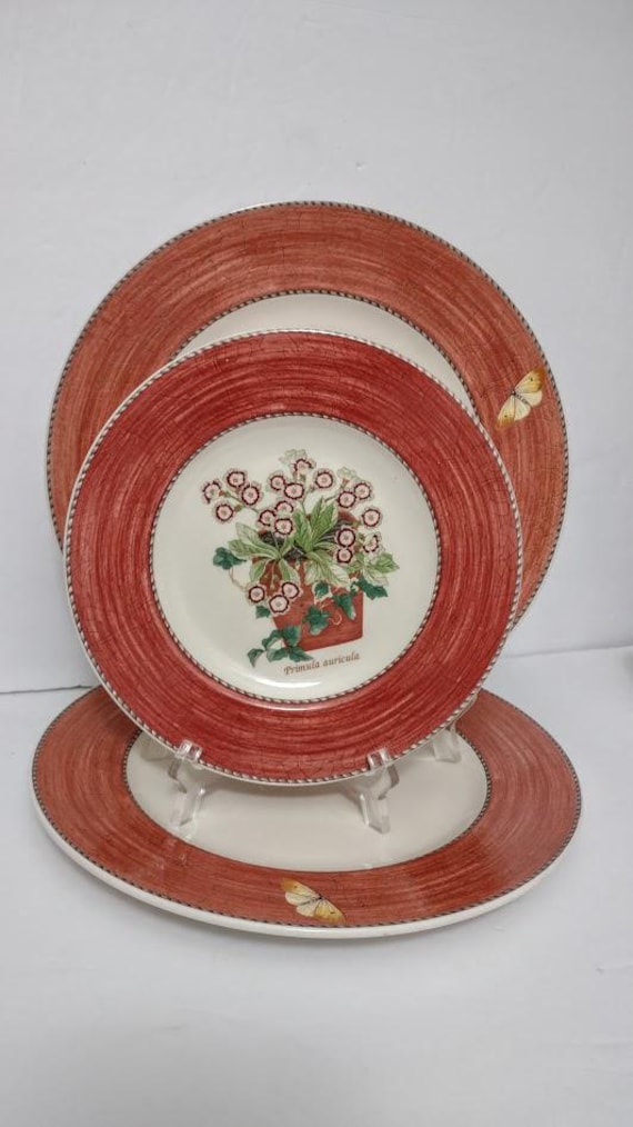 One Plate WEDGWOOD Sarah's Garden Primula Auricula Flower Brown