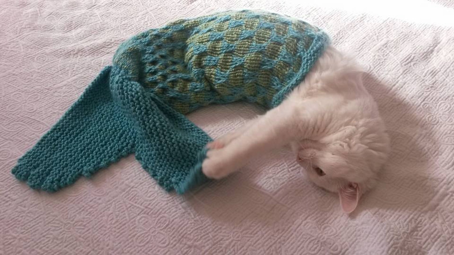 Mermaid Blanket Knitting Instructions Pet Photo Prop Cat Etsy