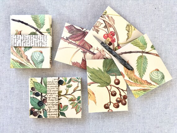 Automne hiver Nature automne enveloppes x10 automne Nature automne hiver Nature papeterie Set cadeau Tag enveloppes automne automne album Journal éphémères Kit 688e61 Automne hiver Nature automne enveloppes x10 automne Nature automne hiver Nature papeterie Set cadeau Tag enveloppes automne automne album Journal éphémères Kit 688e61