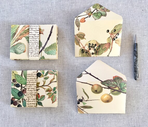 Automne hiver Nature automne enveloppes x10 automne Nature automne hiver Nature papeterie Set cadeau Tag enveloppes automne automne album Journal éphémères Kit 688e61 Automne hiver Nature automne enveloppes x10 automne Nature automne hiver Nature papeterie Set cadeau Tag enveloppes automne automne album Journal éphémères Kit 688e61