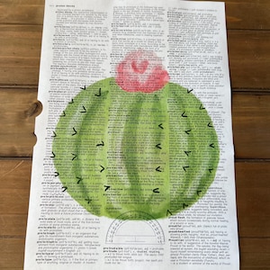 Barrel Cactus Print- Green and Pink-Print on Dictionary Paper- Vintage Dictionary Print, Cacti, Desert Art, Cactus Art, Arizona Art