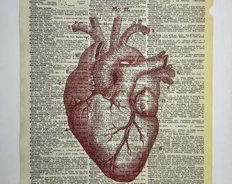 Anatomical Heart Print – Vintage Dictionary Art (8x10)