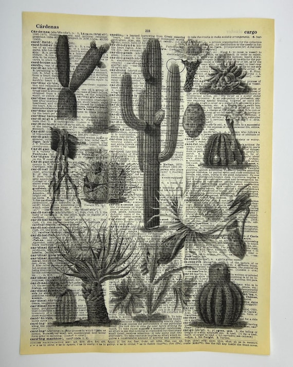 Cactus Dictionary Art Print - Black and White Desert Botanical - Etsy