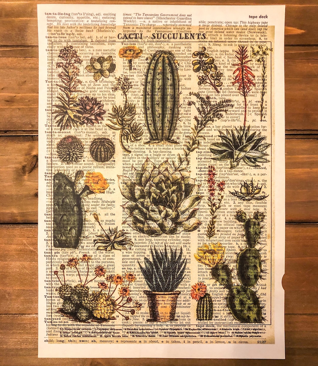 Cacti Succulents Dictionary Printcactusprint on Dictionary Paper