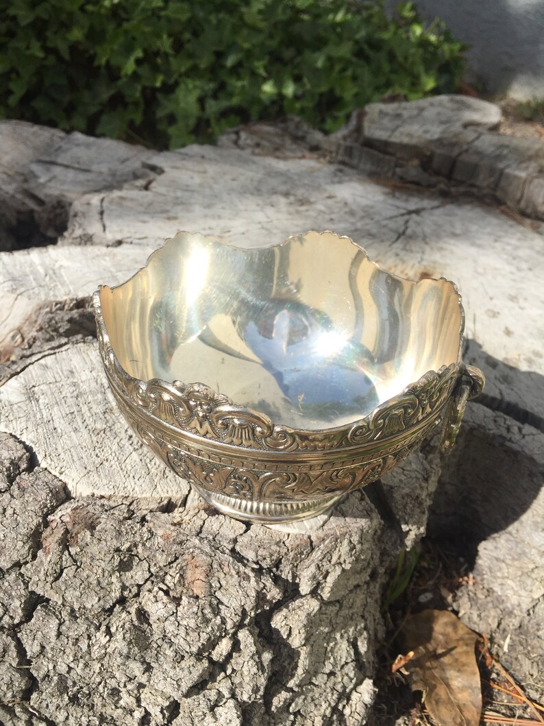 May include: A silver bowl with an ornate design. The bowl is sitting on a tree stump.