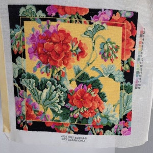 Needle Point Geranium Flowers