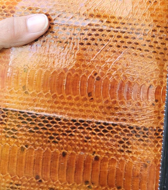 Snake Skin Purse View 2