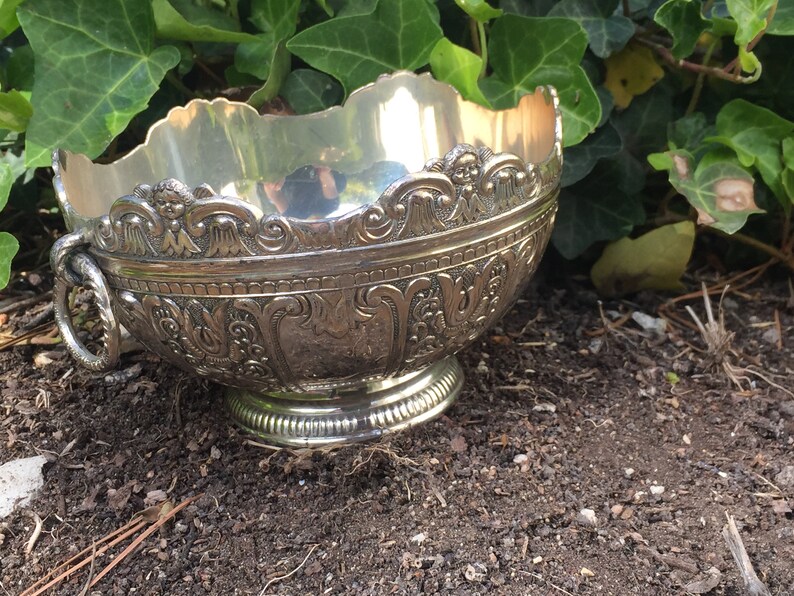 May include: A silver bowl with an ornate design and a handle. The bowl is sitting on a bed of brown soil.