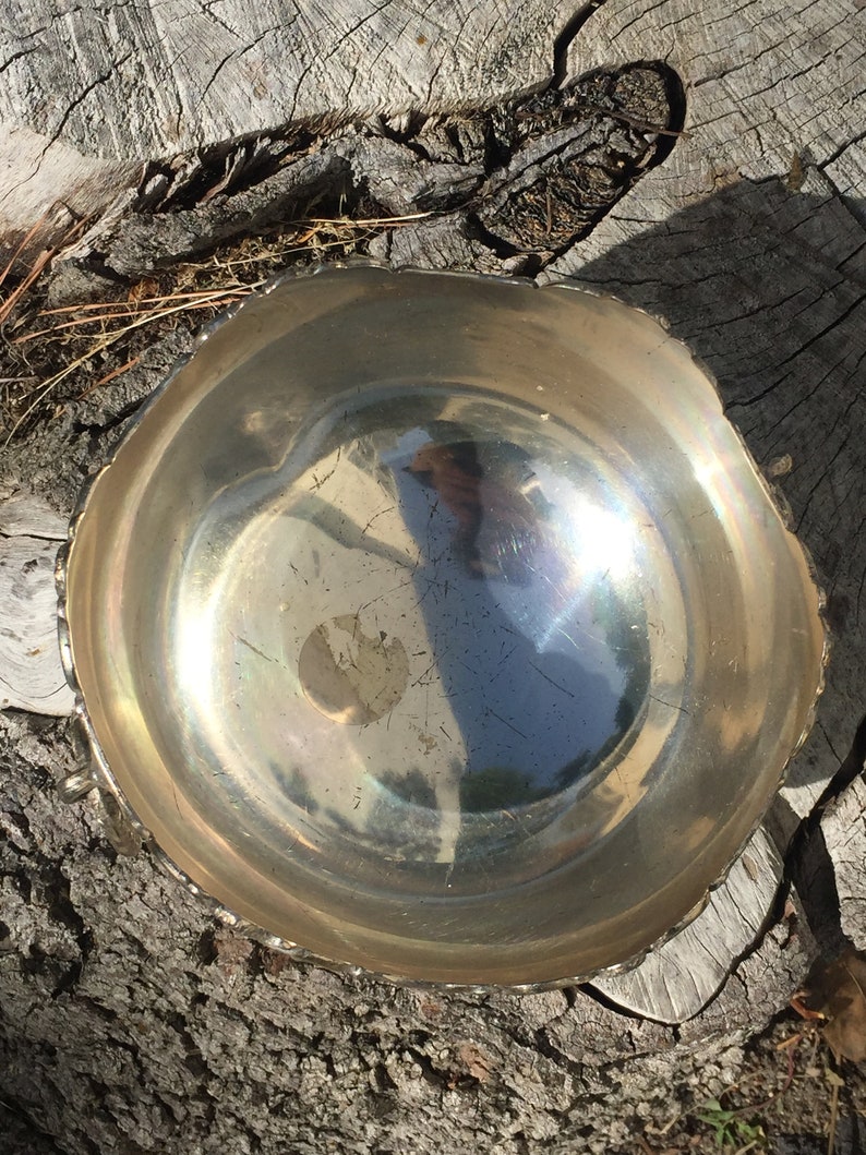 May include: A silver bowl with a scalloped edge and a reflective surface. The bowl is sitting on a piece of wood.