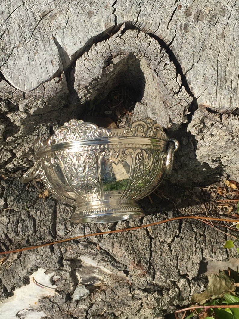 May include: A silver bowl with intricate embossed designs and two handles. The bowl is sitting on a rough, textured surface.