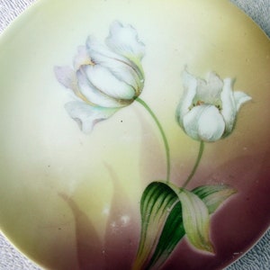 3 R S Germany Hand Painted Porcelain Cabinet Plates 1910 Reinhold Schlegeimilch