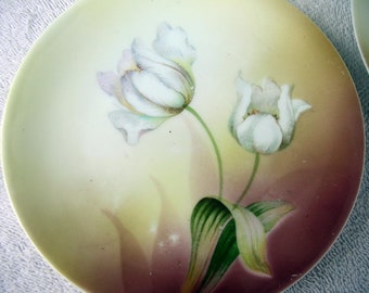 3 R S Germany Hand Painted Porcelain Cabinet Plates 1910 Reinhold Schlegeimilch