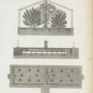 1810 Copperplate Engraving of , W Loudon&#39;s Improved Peach House by J. Wilkes