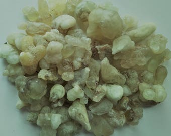 Royal Green Hojari Frankincense. Oman. FRESH!! A rare Frankincense for incense, medicine & perfume. Bears a lovely light green hue..