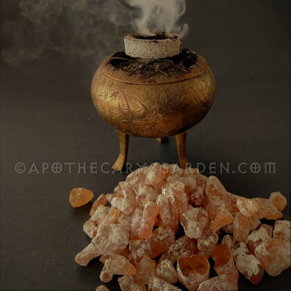 Mexican Copal- Copal Oro, Gold Copal-Hymenaea Courbaril-Mexico-For incense and Art-Sustainable harvest